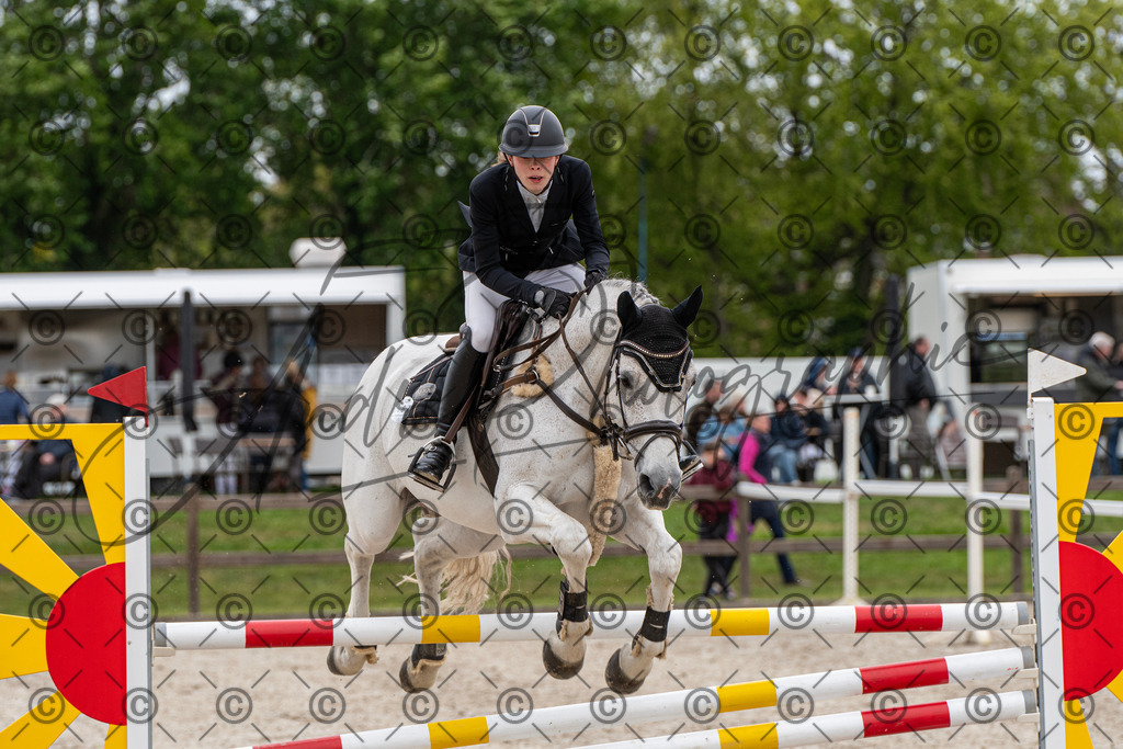 KPT_8528 | andre_photographic