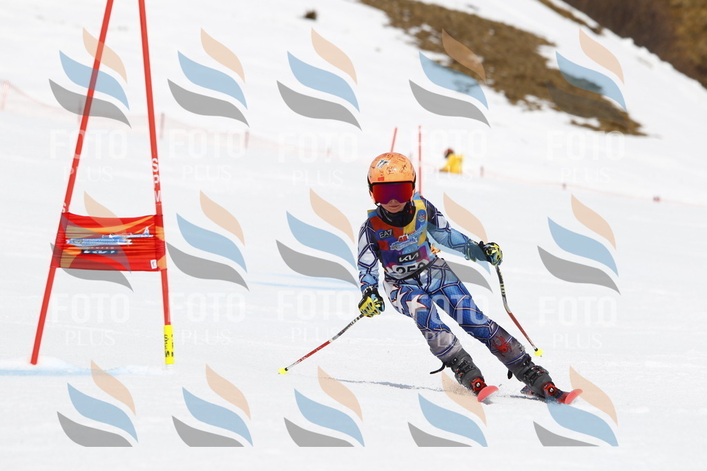 _U3G6367 | holidayphoto