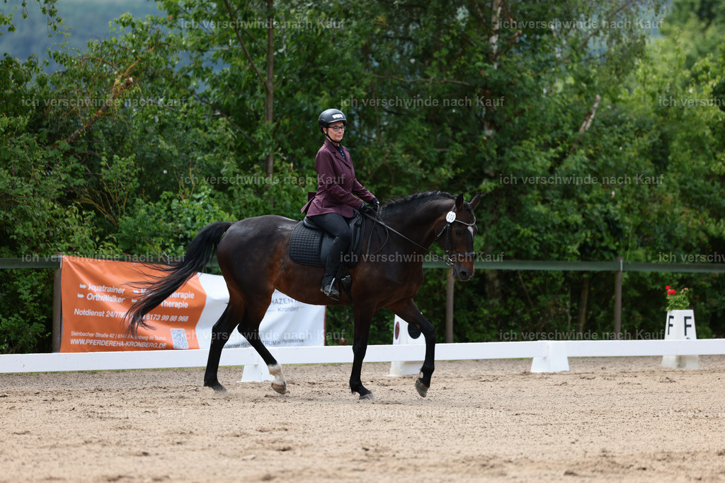 KlasseE_Stoibphotography_CAM21703.JPG | working equitationturnier fotograf videograf stoibphotography marixx film working equitation deutschland reitsport turnierfotografie eventfotografie equestrian events