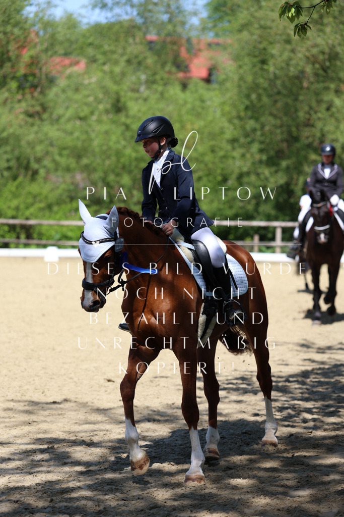 IMGS3549 | pl-fotografie