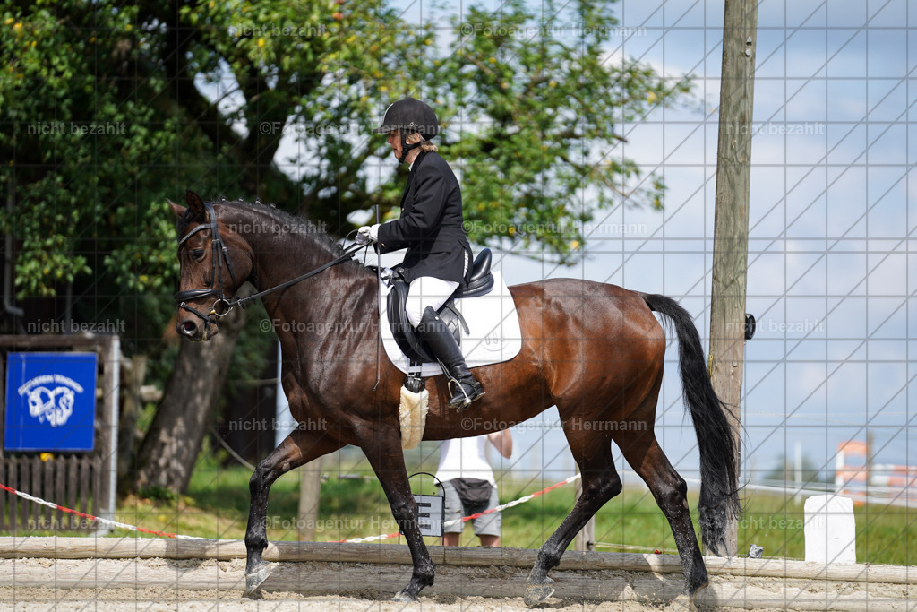 20230826-FAH05495 | Forstinning, 2023, Dressurturnier, Turniersportbilder, Turnierfotografen Bayern, Fotoagentur Herrmann, Reitsportfotografie, Turnierbilder