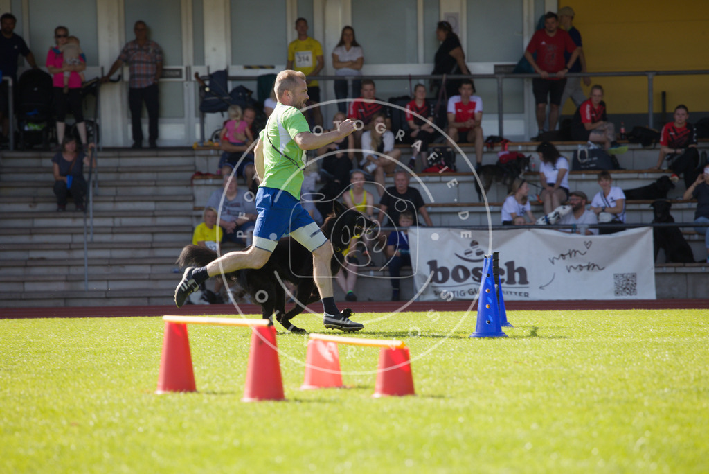 0L8A8388 | Hundefotografie, Tierfotograf, Pfotenfotografie, Fotoshooting Hund, Hunde Portrait, Hundesport, Hundeportraits, Heideshooting, Hunde, Sportfotograf, Hundefotograf, Turnierhundsport, THS,  - Realisiert mit Pictrs.com