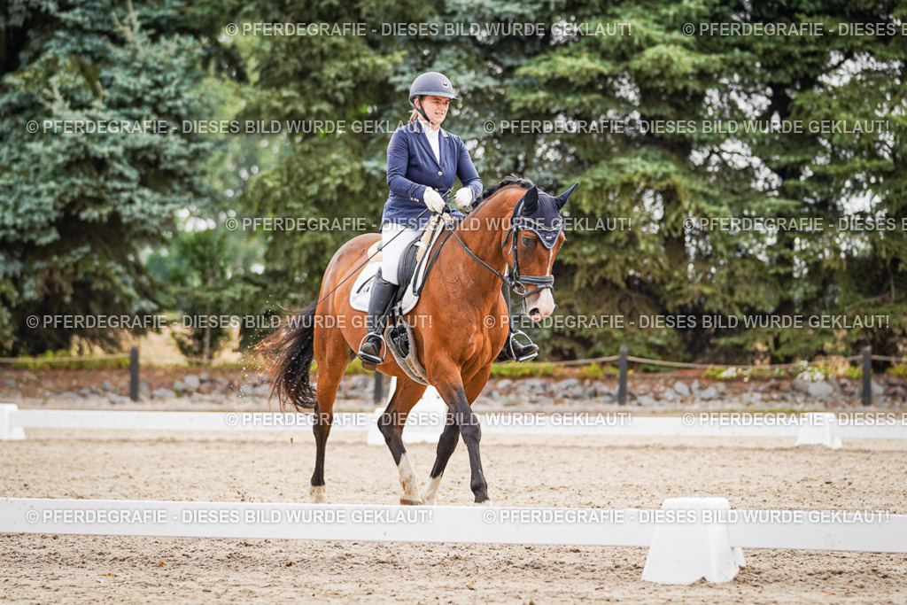 DSC02208 | Pferdegrafie