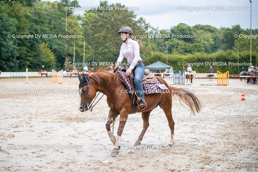 ZS2_4144 | dv-media-shop - Realisiert mit Pictrs.com