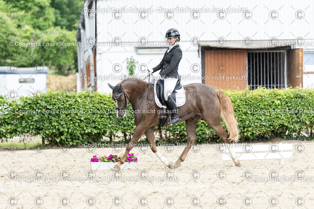 CL5A4381-2 | Emilia Reinking Fotografie - Realisiert mit Pictrs.com