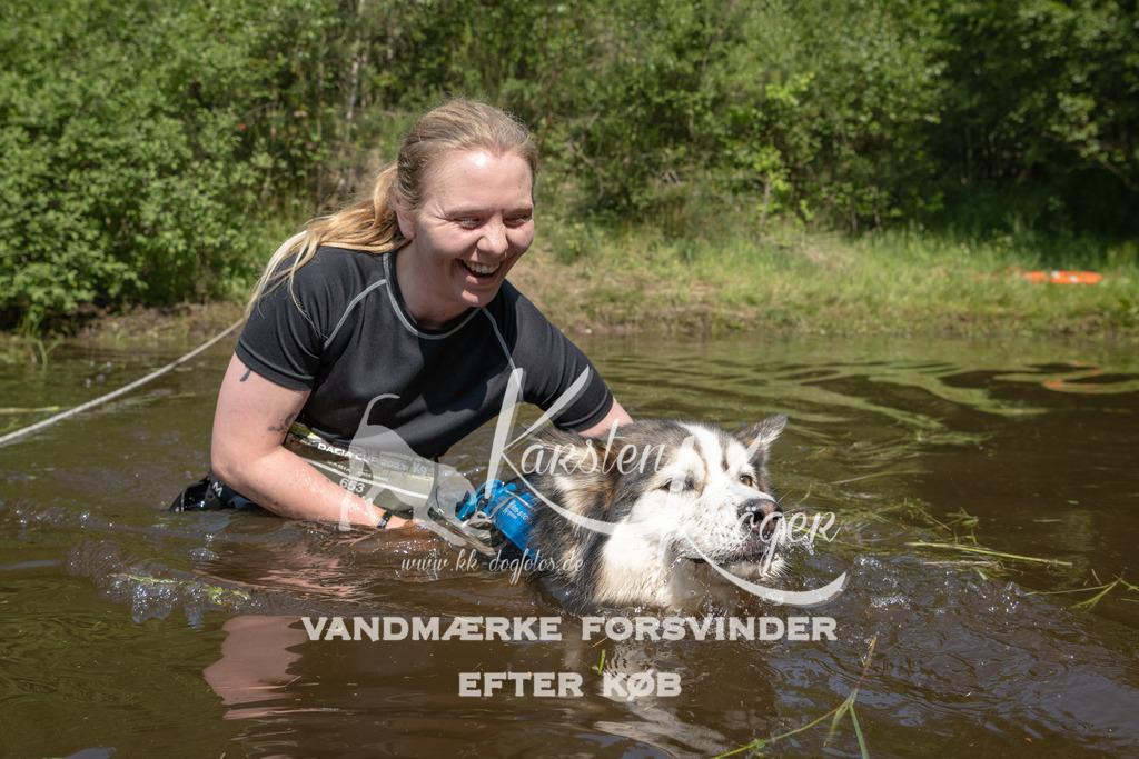 1059DKK991832 | kk-dogfotos