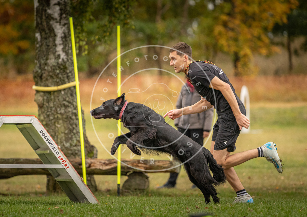 Pfotenfotografie_DV3A7659 | Hundefotografie, Tierfotograf, Pfotenfotografie, Fotoshooting Hund, Hunde Portrait, Hundesport, Hundeportraits, Heideshooting, Hunde, Sportfotograf, Hundefotograf, Turnierhundsport, THS,  - Realisiert mit Pictrs.com