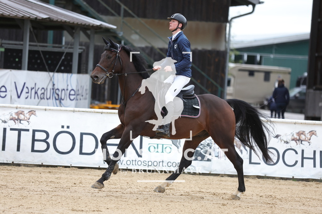 0P6A9452 | Willkommen bei Brunnmayr - Design & Fotografie – Ihrem Spezialisten für Reitturniere und Pferdeveranstaltungen in Oberösterreich, Salzburg und Bayern! Seit über 17 Jahren sind wir leidenschaftlich dabei.