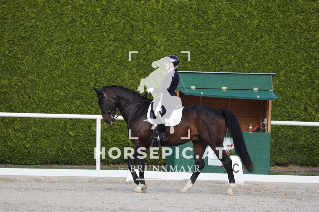 0P6A3766 | Willkommen bei Brunnmayr - Design & Fotografie – Ihrem Spezialisten für Reitturniere und Pferdeveranstaltungen in Oberösterreich, Salzburg und Bayern! Seit über 17 Jahren sind wir leidenschaftlich dabei.