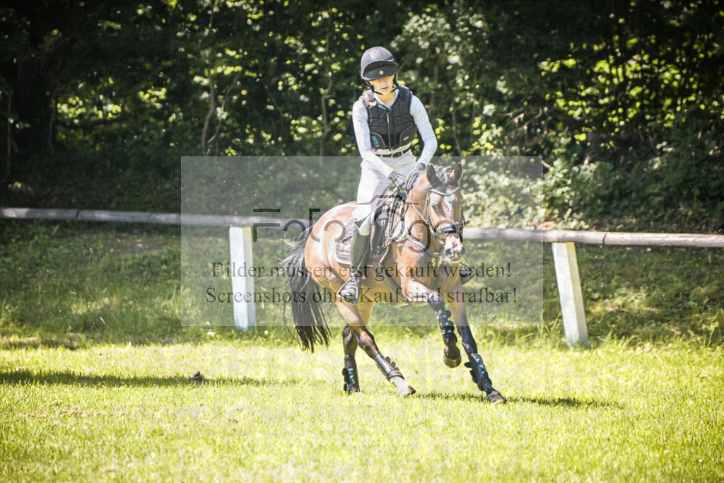 DOS_4103 | Entdecke hochwertige Reitturnierfotos von Foto Oger. Professionell, emotional und authentisch – jetzt Lieblingsmomente im Shop bestellen.Deutschlandweite Turnierfotografie. - Realisiert mit Pictrs.com