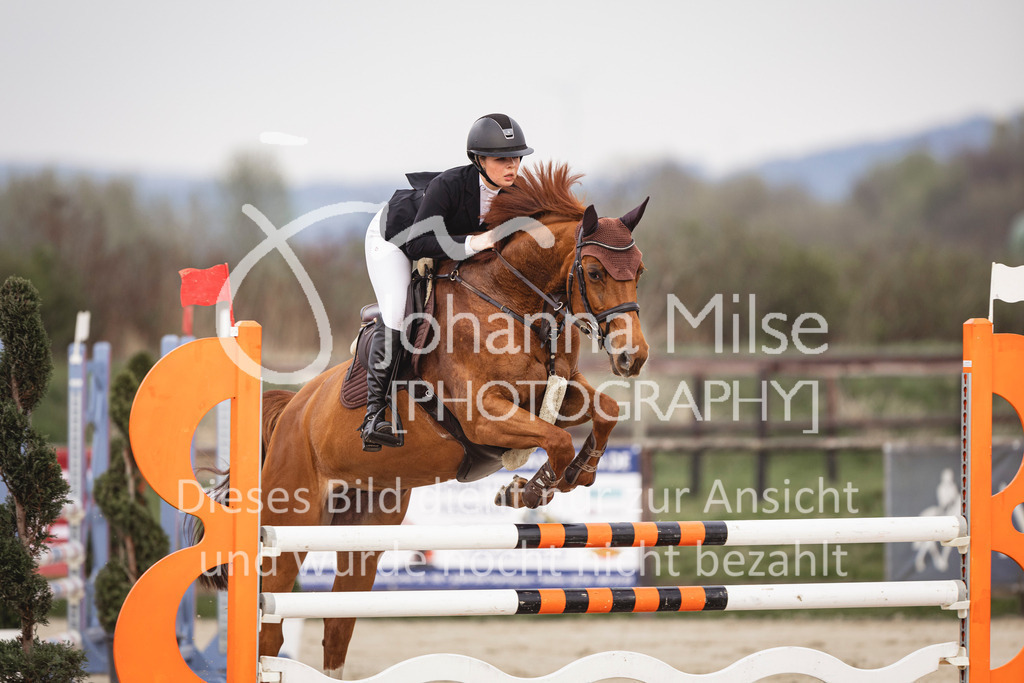 240327_Fruehlingsfest_Stil-L-1-304 | Deine schönsten Turniermomente als professionelle Fotos! Entdecke hochwertige Pferdesport-Fotografie im Online-Shop. Jetzt Fotos finden & bestellen!