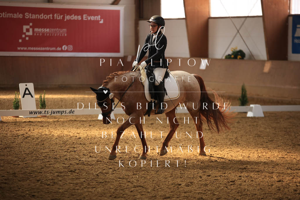 IMGT8331 | pl-fotografie