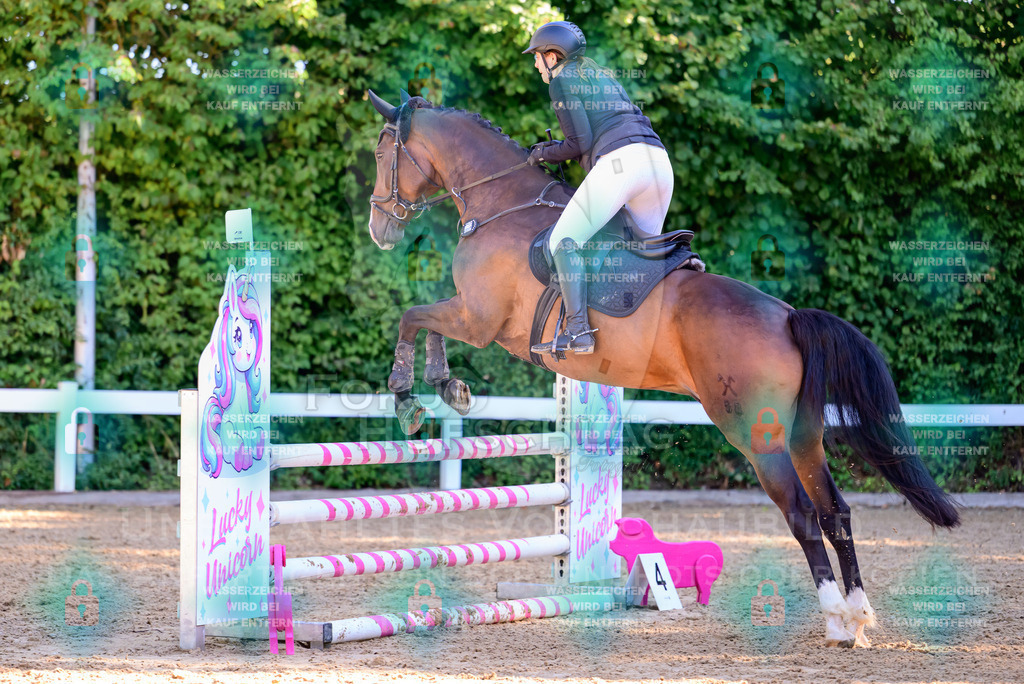 30082026-Giesenbach-Prfg16-0216 | Fokus Hufschlag Fotografie - Realisiert mit Pictrs.com