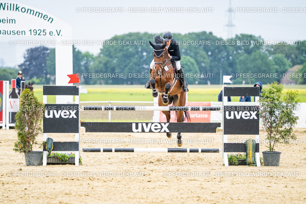 DSC07065 | Pferdegrafie