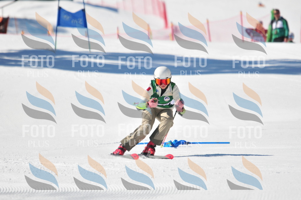 C4217 | holidayphoto