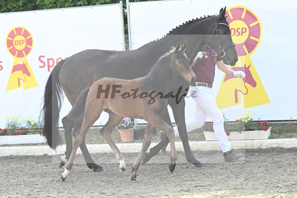 Kat-Nr. 2 HF Escaneno_Ruetz_12230085 | hf-fotografie - Realizzato con Pictrs.com