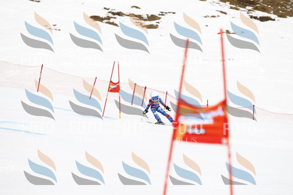 _U3G4746 | holidayphoto