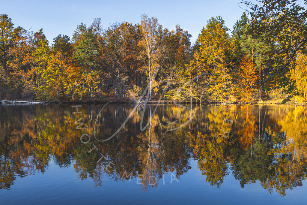 2025-10-30 Herbst Baerenseen Stuttgart 058 | Schwotte Media - Realisiert mit Pictrs.com