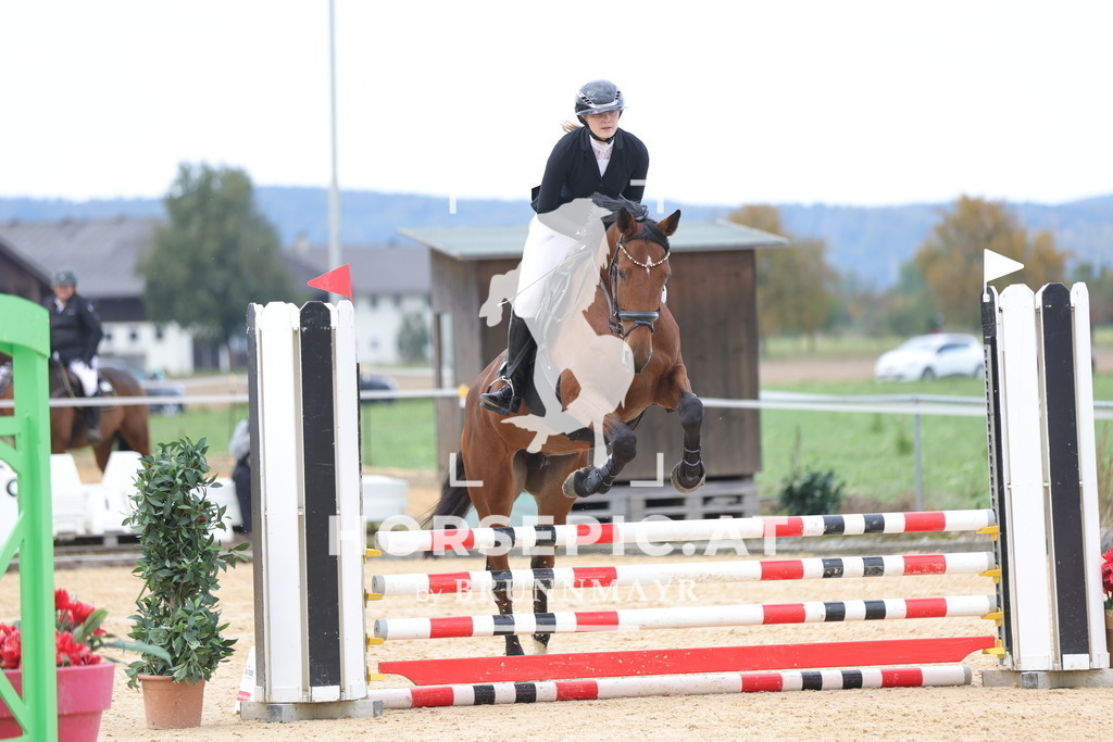 0P6A8973 | Willkommen bei Brunnmayr - Design & Fotografie – Ihrem Spezialisten für Reitturniere und Pferdeveranstaltungen in Oberösterreich, Salzburg und Bayern! Seit über 17 Jahren sind wir leidenschaftlich dabei.