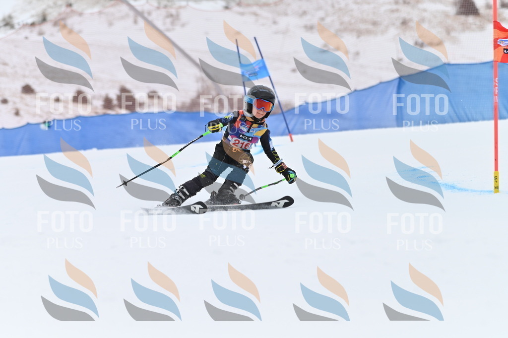 BGV_2799 | holidayphoto