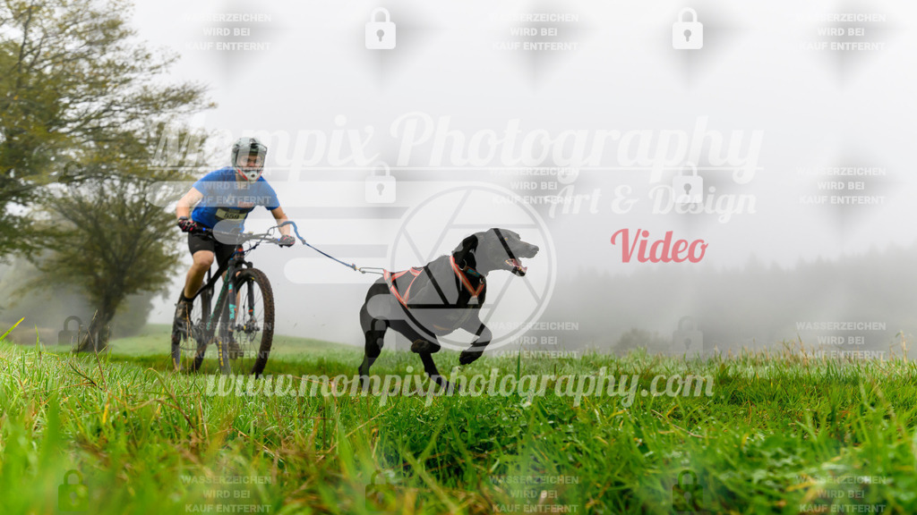 MompixPhotography_20TSB_E5_Bike-78 | PayLife