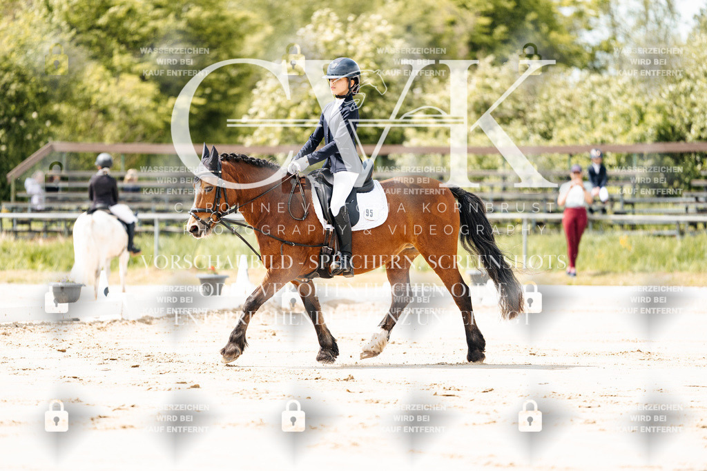 CK901678 | Turnierfotografie Pferdefotografie Trier Rheinland-Pfalz Pferdesport Reitsport Tierfotografie Sportfotografie Pferdevideo Pferdevideografie Equestrianvideography equestrianphotography  - Realisiert mit Pictrs.com