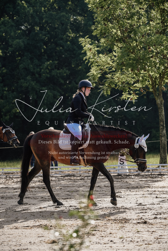 DSC_8255 | Pferde- und Turnierfotografie in Westsachsen. Pferdeportraits, Auftragszeichnungen und intuitive Kunst.