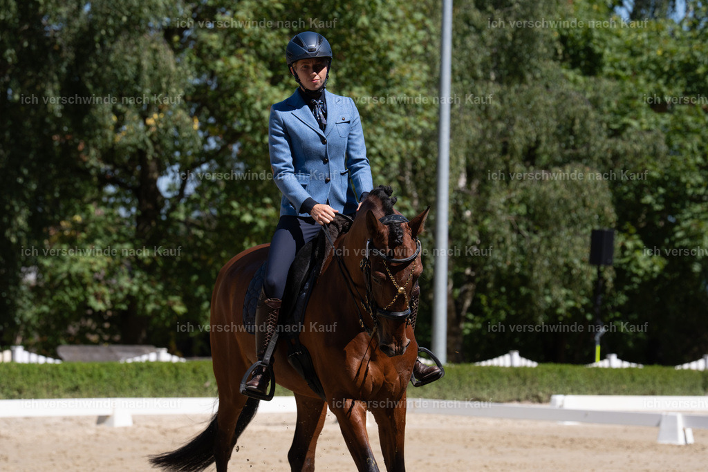 WL_DR_106_sinafilmart_IN07996 | working equitationturnier fotograf videograf stoibphotography marixx film working equitation deutschland reitsport turnierfotografie eventfotografie equestrian events