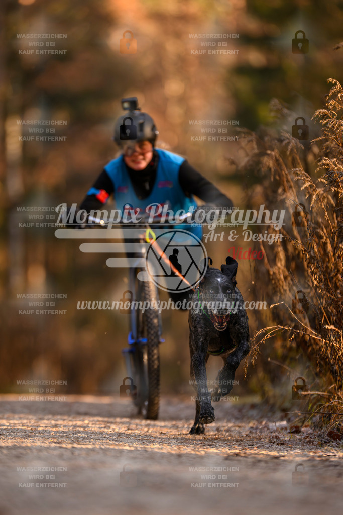 MompixPhotography_DM_AKDM_SO_2025_Scooter-177 | PayLife