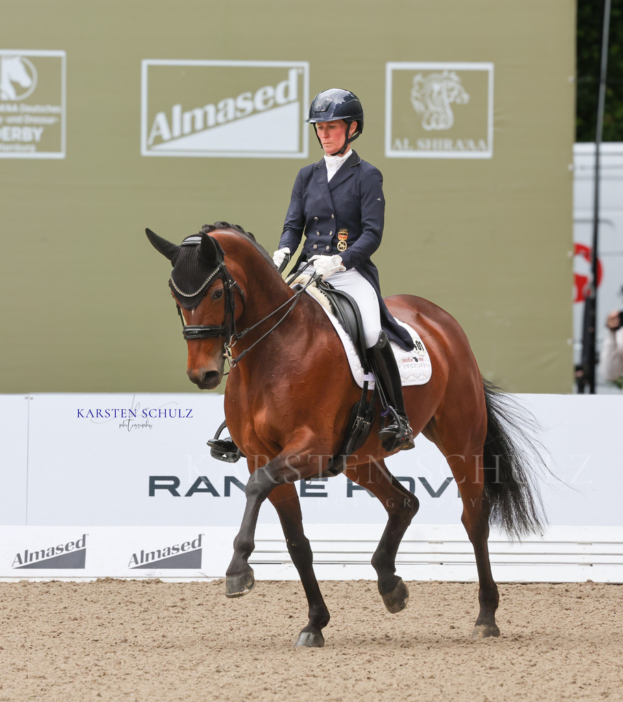1B3A3675 | Reitsport Reiten