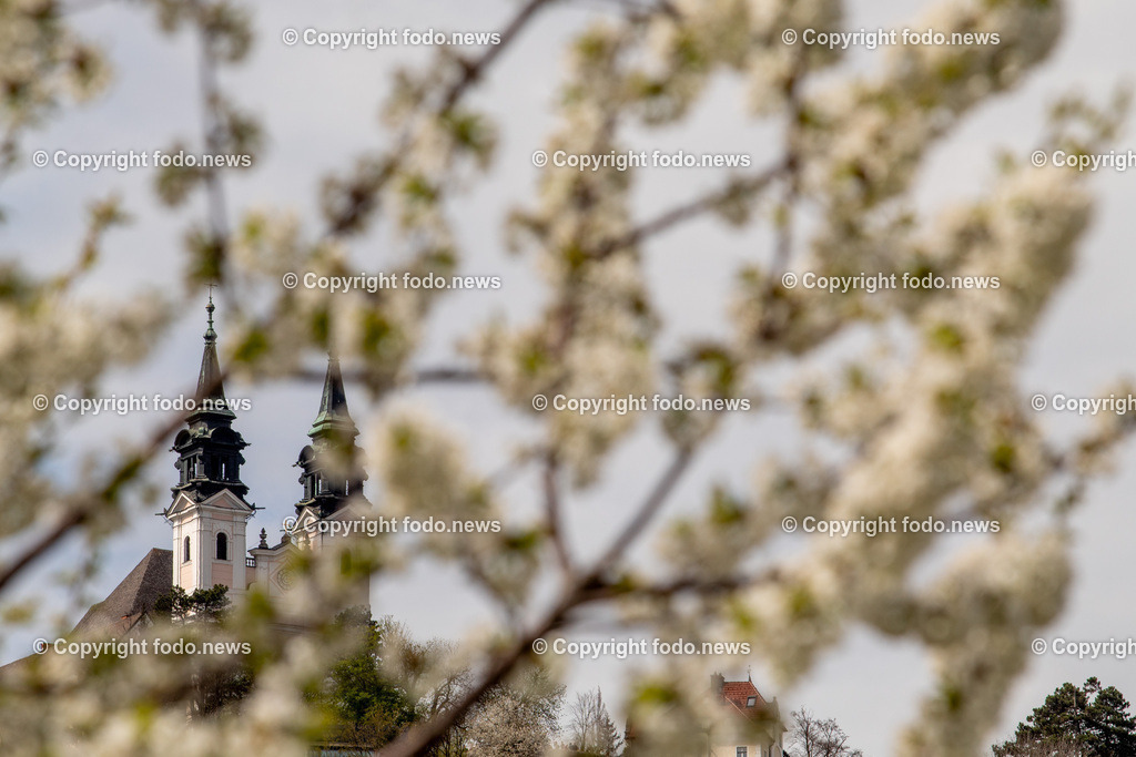 Linz_ Pöstlingberg_ 15.04.2025-3 | 15.04.2025, LINZ, AUT, Themenbild, im Bild Poestlingberg, Kirche, Berg, Fruehling, Himmel, Turm, Tuerme, Ausflugsziel, Poestlingbergkirche, Wallfahrtsbasilika, Wahrzeichen, Linz, Baeume, Pflanzen, Feature, Symbolbild