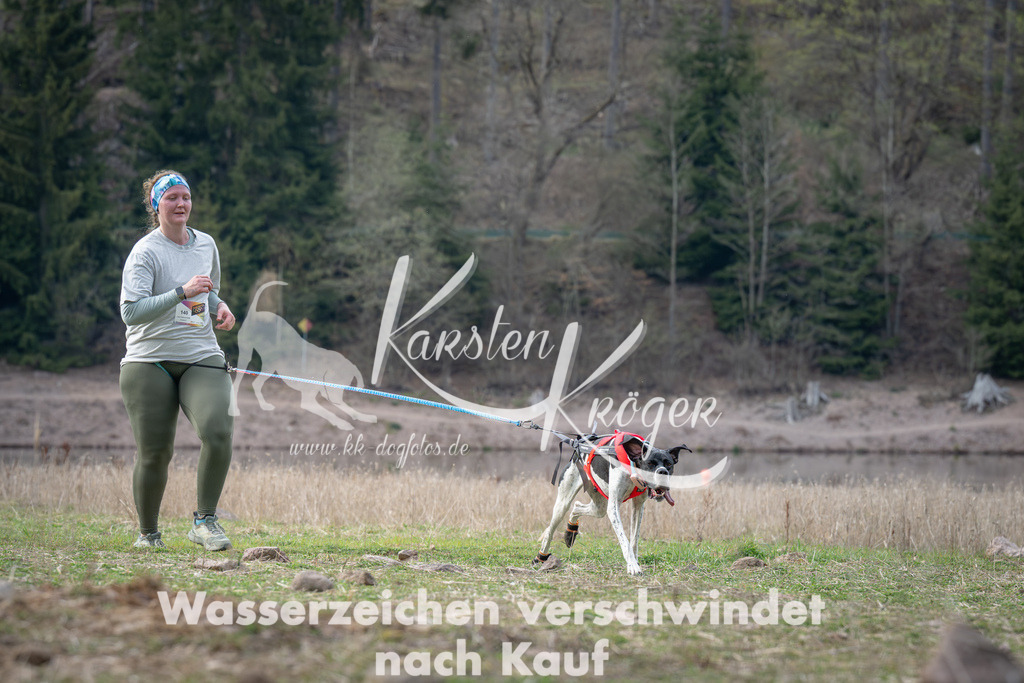1828_ZZ98037 | kk-dogfotos