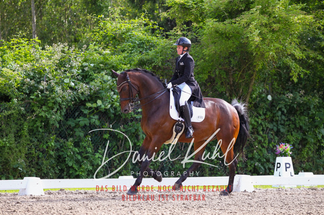 DKP41505 | Deine Turnierfotos vom Reitturnier online kaufen: Dressur, Springen & Siegerehrung. Professionelle Pferdefotografie aus dem Rheinland – als Download & Print.Alternative: Turnierfotograf für den Pferdesport: Finde deine Fotos von Dressur- und Springturnier