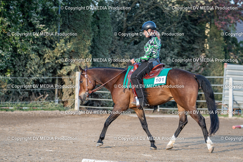 Balingen Tag 2-016 | dv-media-shop - Realisiert mit Pictrs.com