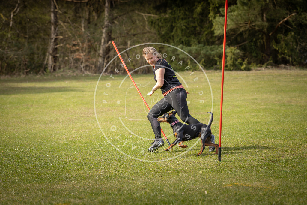 Pfotenfotografie_DV3A9944 | Hundefotografie, Tierfotograf, Pfotenfotografie, Fotoshooting Hund, Hunde Portrait, Hundesport, Hundeportraits, Heideshooting, Hunde, Sportfotograf, Hundefotograf, Turnierhundsport, THS,  - Realisiert mit Pictrs.com