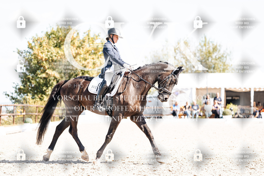 CK903424 | Turnierfotografie Pferdefotografie Trier Rheinland-Pfalz Pferdesport Reitsport Tierfotografie Sportfotografie Pferdevideo Pferdevideografie Equestrianvideography equestrianphotography  - Realisiert mit Pictrs.com