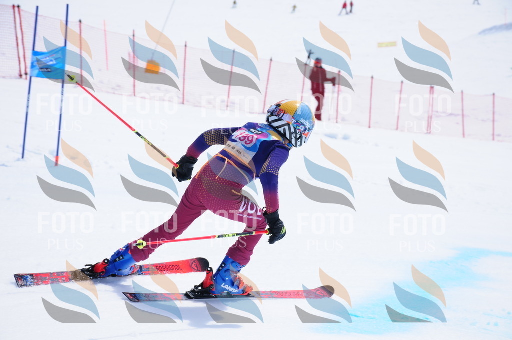 DSC_5747 | holidayphoto