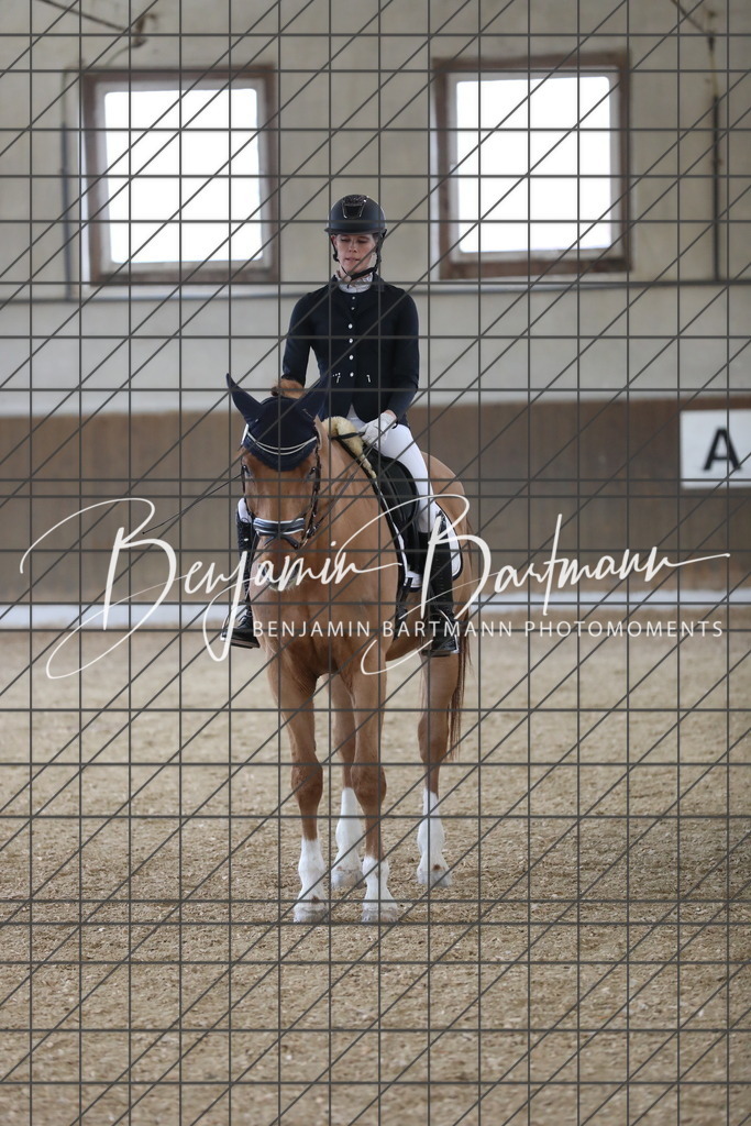 AZ2A7179 | Benjamin Bartmann Photomoments