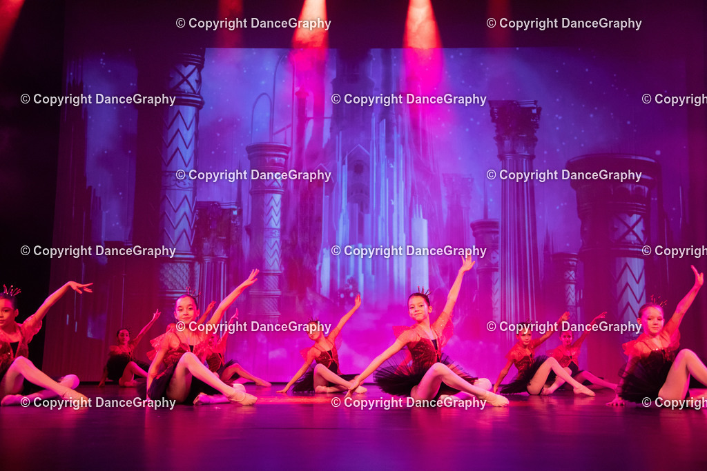 GPHY3228 | DanceGraphy - Realisiert mit Pictrs.com