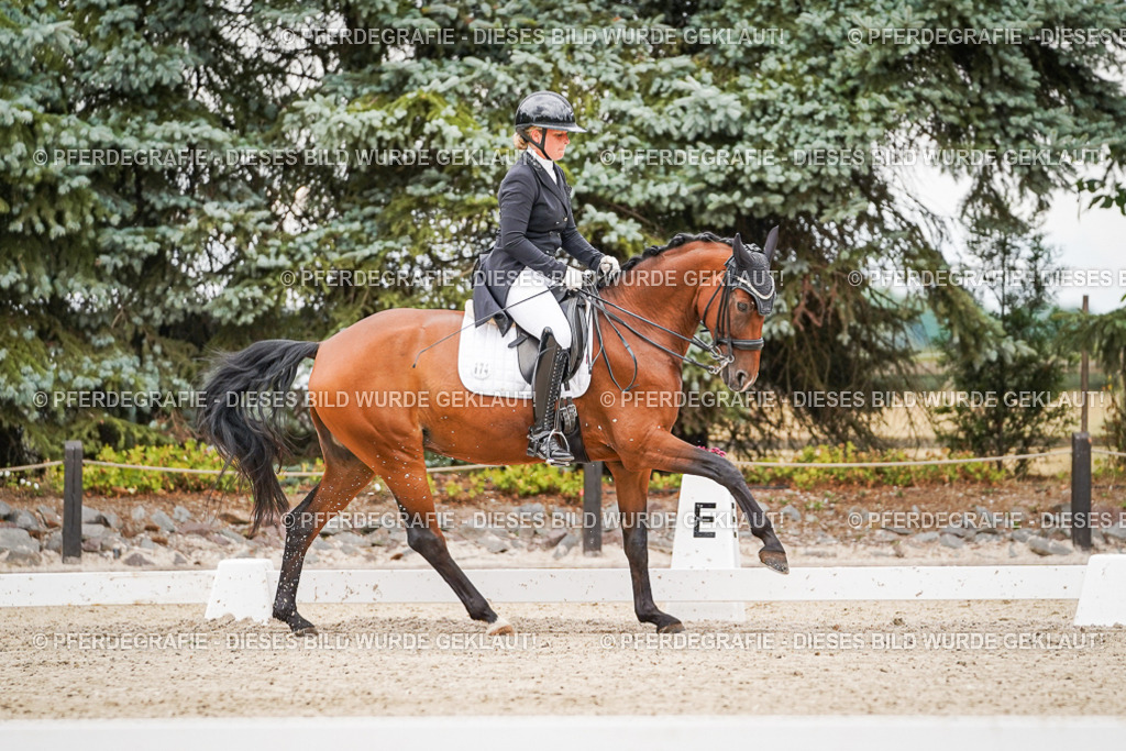 DSC07259 | Pferdegrafie