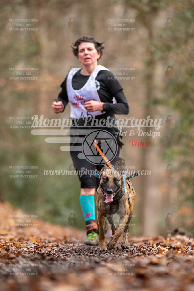 SPA_2023_DIM_CCL-131 | PayLife