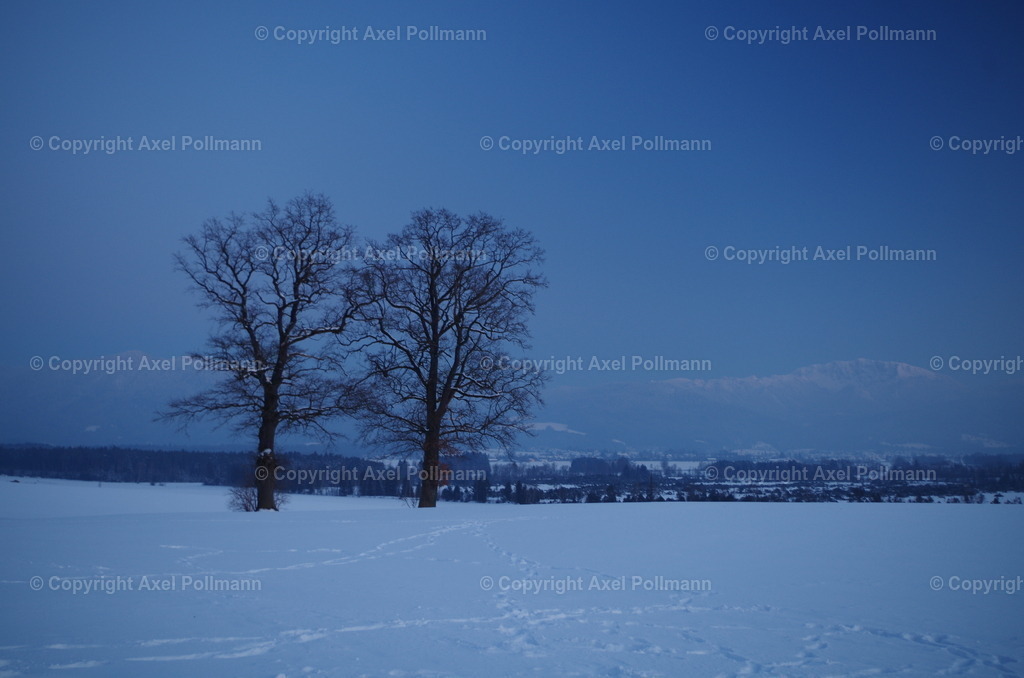 01-janua-IMGP2401 | fotografiert von Axel PollmannLeonhardi Wallfahrt Benediktbeuern und Murnau, Fronleichnam, Fasching, Landschaft im Loisachtal und Benediktbeuern  - Realisiert mit Pictrs.com
