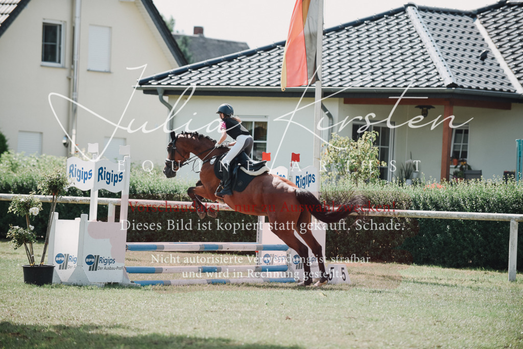 DSC_5636 | Pferde- und Turnierfotografie in Westsachsen. Pferdeportraits, Auftragszeichnungen und intuitive Kunst.