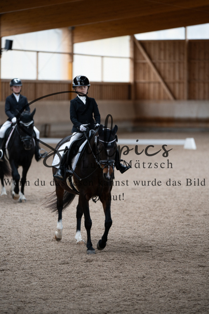 A7V02761 | Pferdefotograf