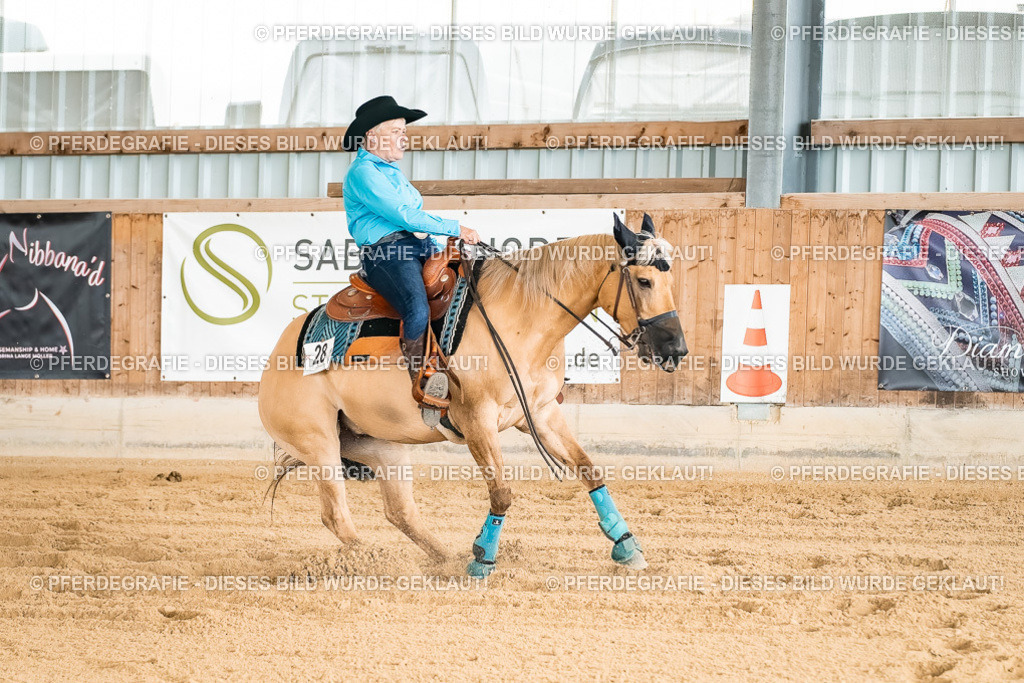 DSC02349 | Pferdegrafie