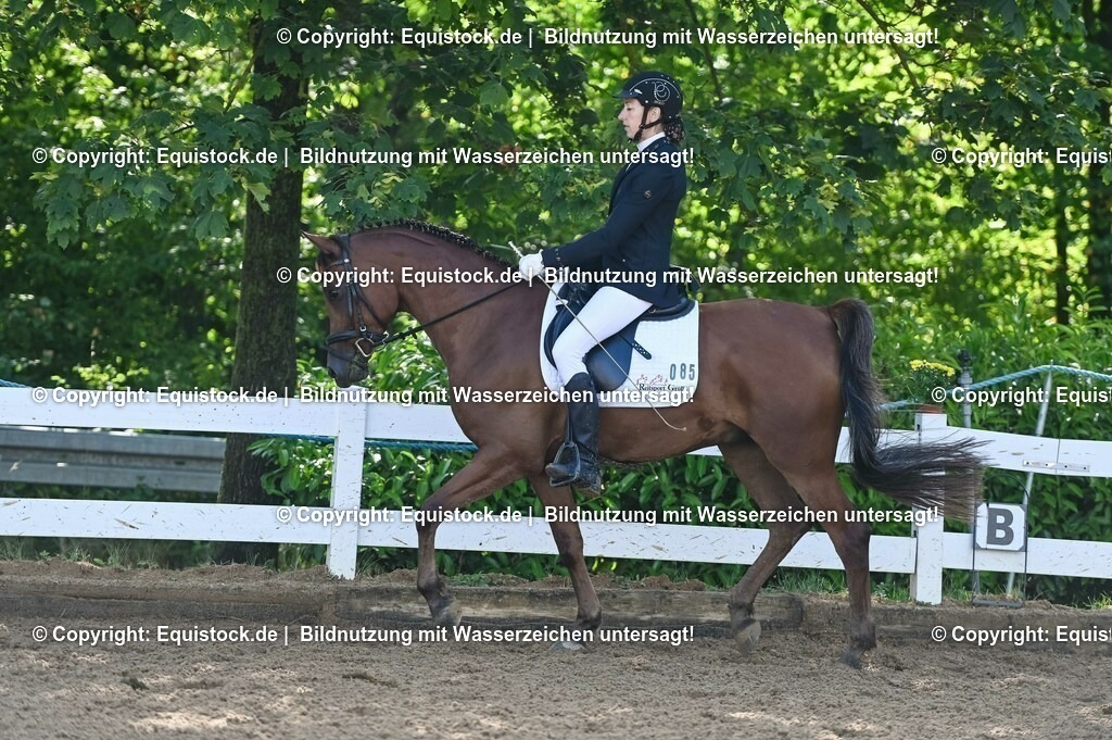 20230716_04_Dressurreiterprüfung Kl.A_0189 | equistock