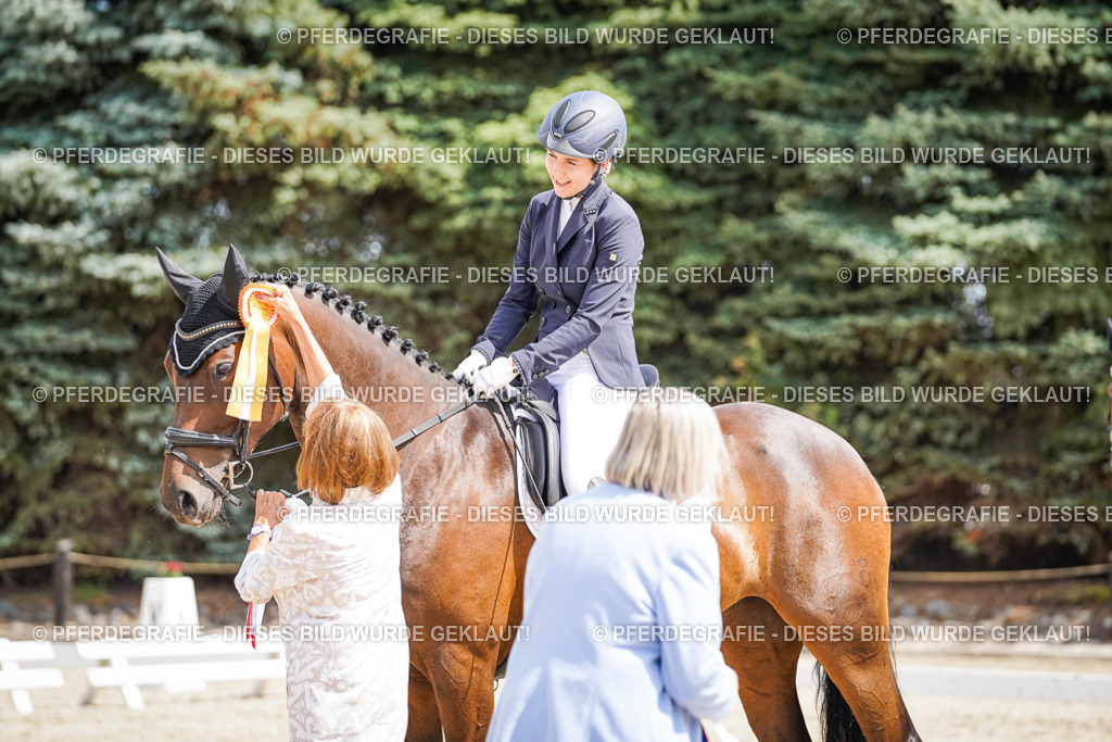 DSC02234 | Pferdegrafie