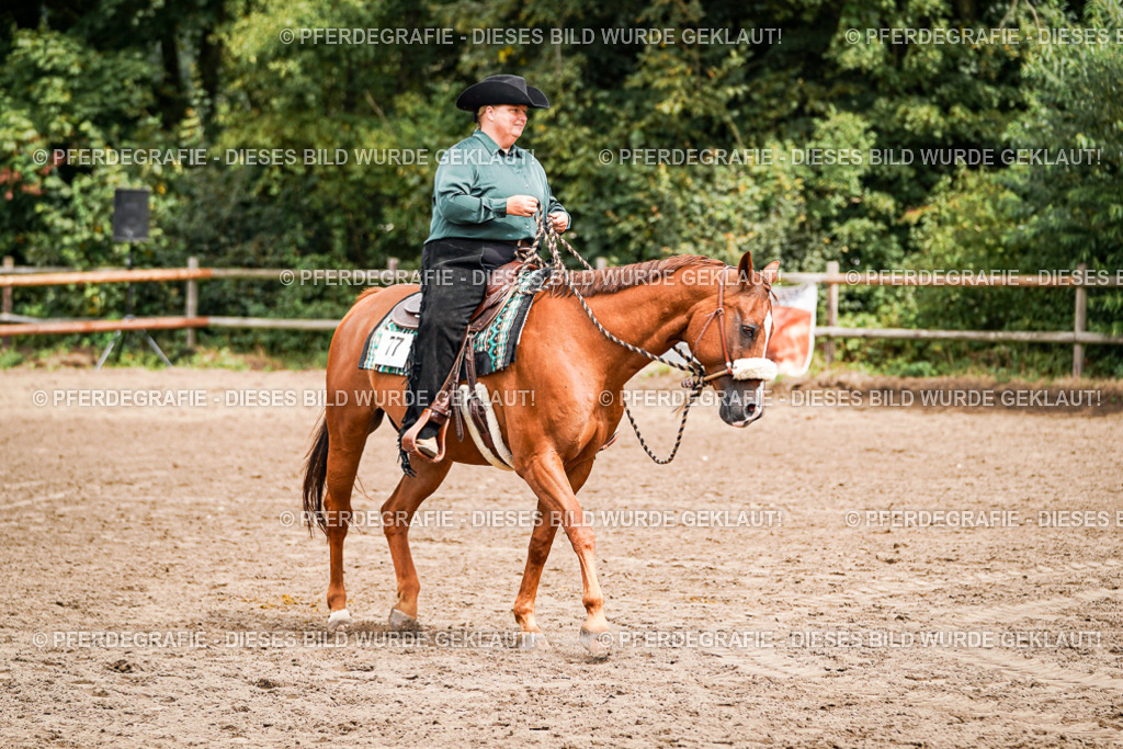 DSC04735 | Pferdegrafie