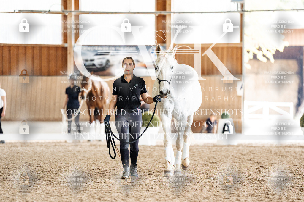 CK908216 | Turnierfotografie Pferdefotografie Trier Rheinland-Pfalz Pferdesport Reitsport Tierfotografie Sportfotografie Pferdevideo Pferdevideografie Equestrianvideography equestrianphotography  - Realisiert mit Pictrs.com