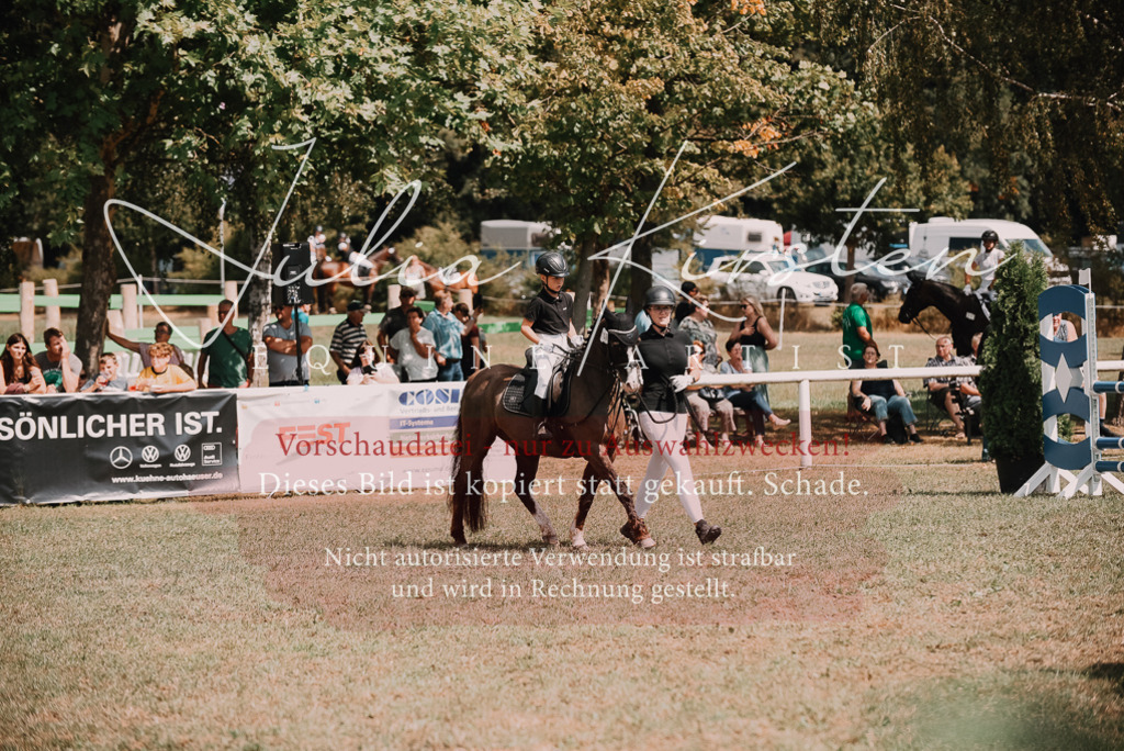 DSC_6147 | Pferde- und Turnierfotografie in Westsachsen. Pferdeportraits, Auftragszeichnungen und intuitive Kunst.